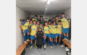 🟡🔵 Les U16 accèdent à la U17 D1 !