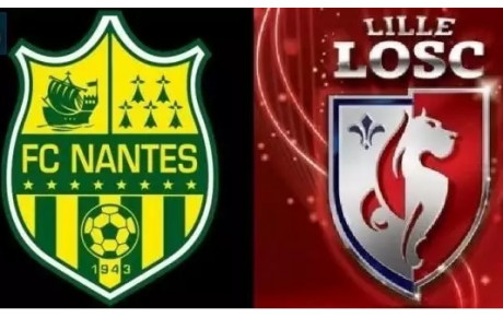 219 Jaunes et Bleus pour voir les Jaunes et Verts